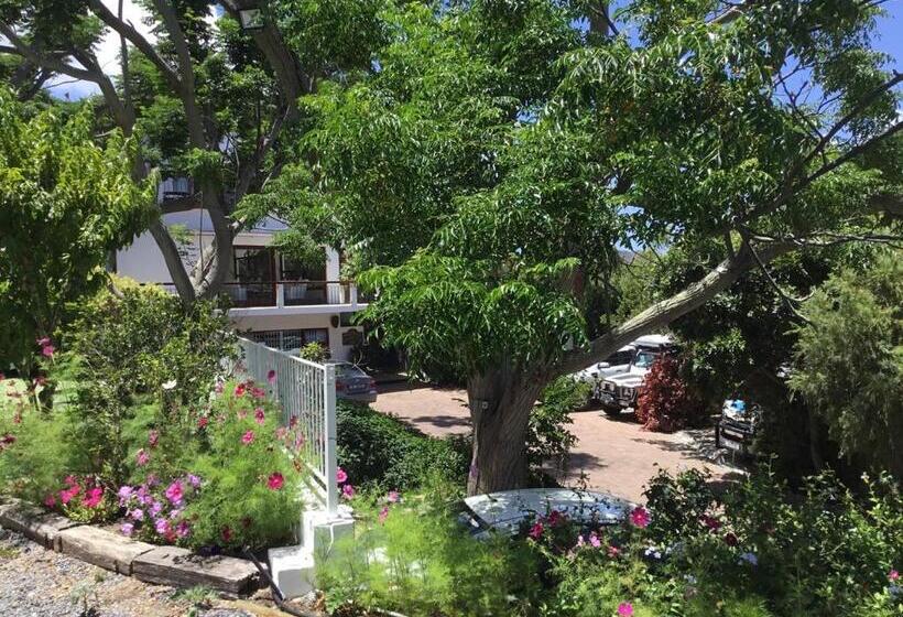 Номер Стандарт Вид на Море с Балконом, Oceangolf Guest House