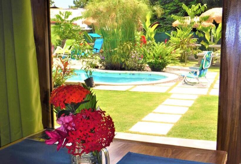 Студия Стандарт, Coco Beach Village