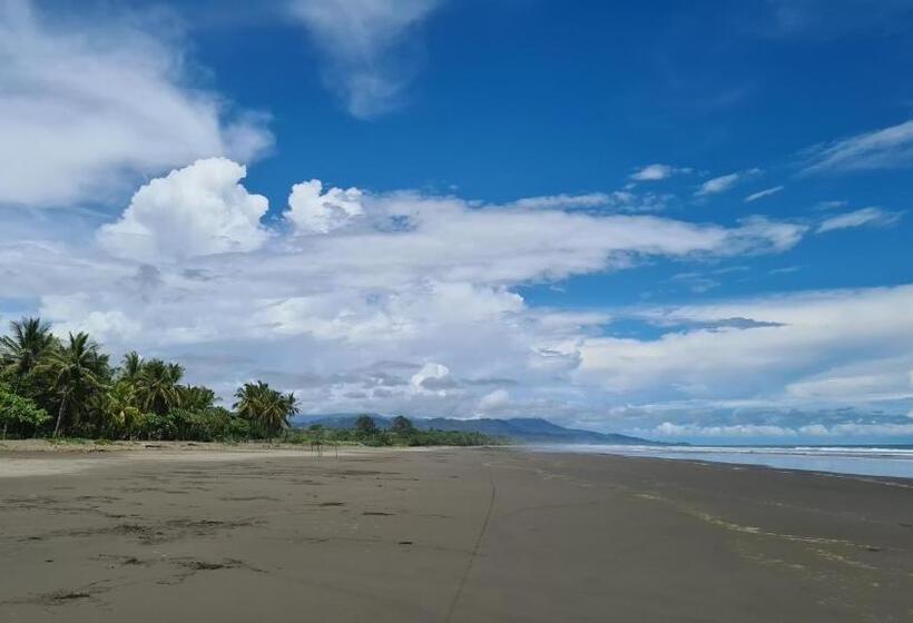 Люкс Вид на Бассейн, Coco Beach Village