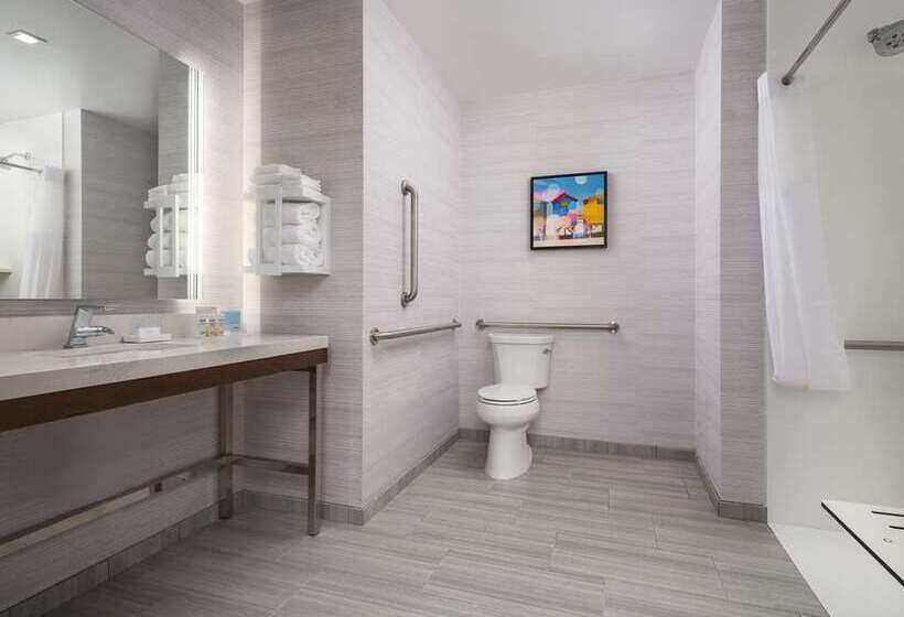 스탠다드 룸 킹사이즈 침대, Hampton Inn O Fallon