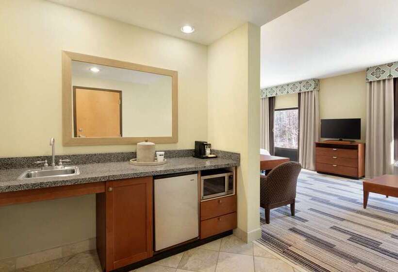 스탠다드 룸 킹사이즈 침대, Hampton Inn O Fallon