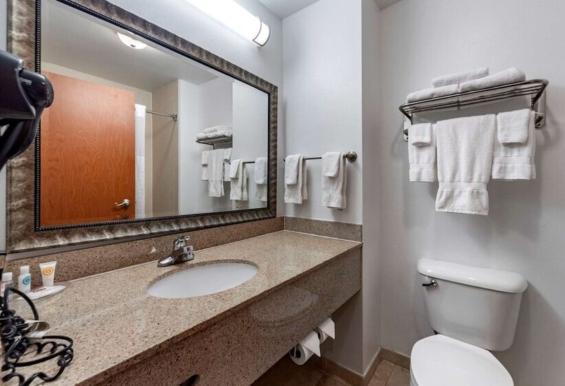 Люкс, Comfort Inn & Suites Shawnee North Near I40
