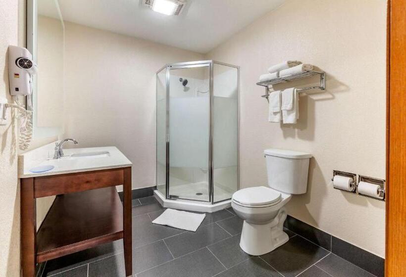 Люкс, Quality Inn New London