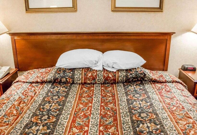 스탠다드 룸 킹사이즈 침대, Rodeway Inn