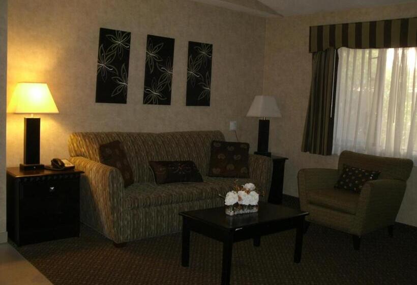 이그제큐티브 룸, Rosedale Inn