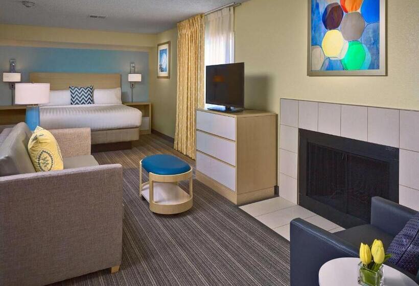 스탠다드 스튜디오, Sonesta Es Suites South Brunswick  Princeton