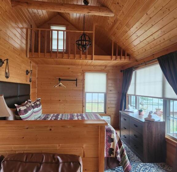 Студия Стандарт, Presidential Mountain Resort
