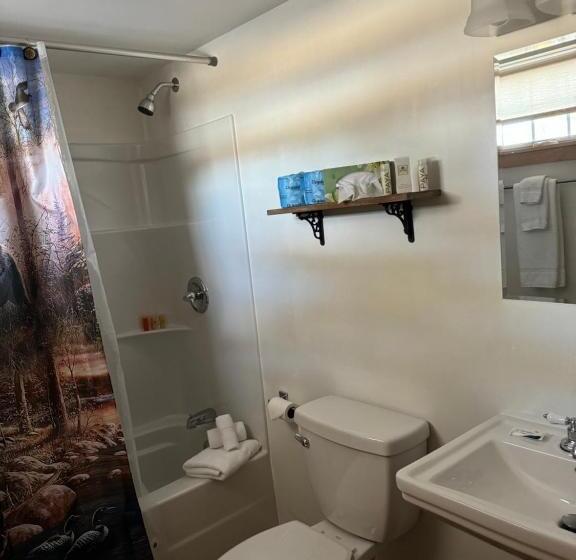 Номер Премиум, Presidential Mountain Resort