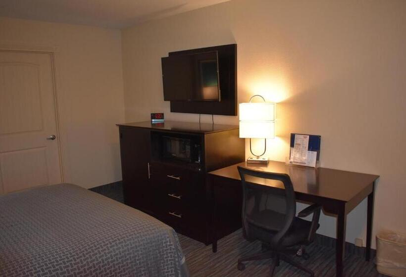 带大床的标准间, Best Western Apricot Inn