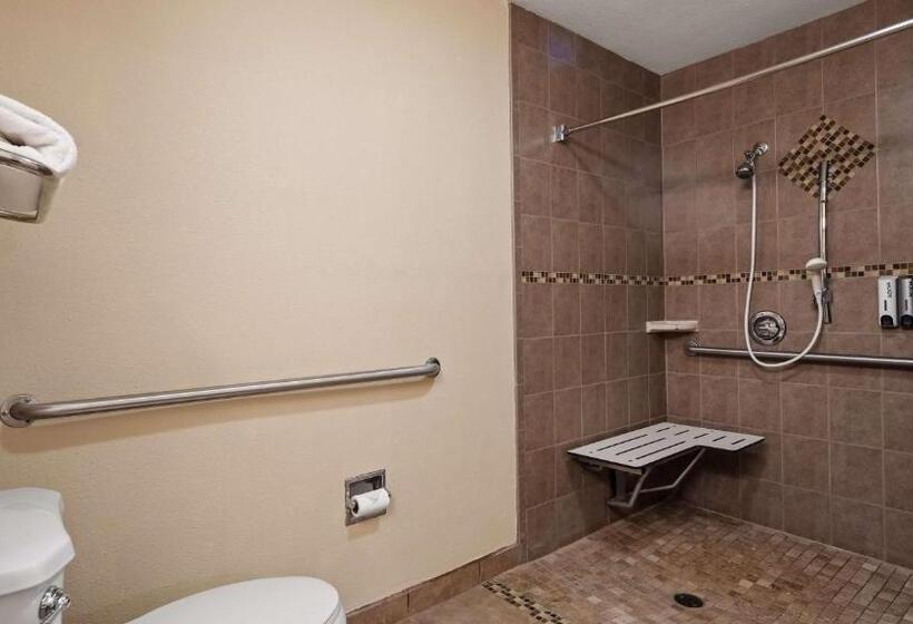 残疾人使用的带特大床的标准间, Best Western Apricot Inn