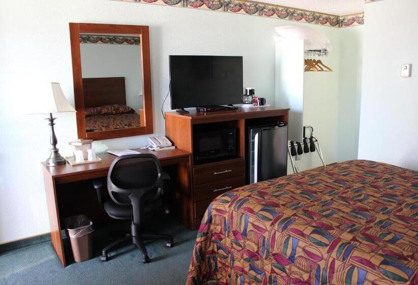 스탠다드 룸, Safari Inn