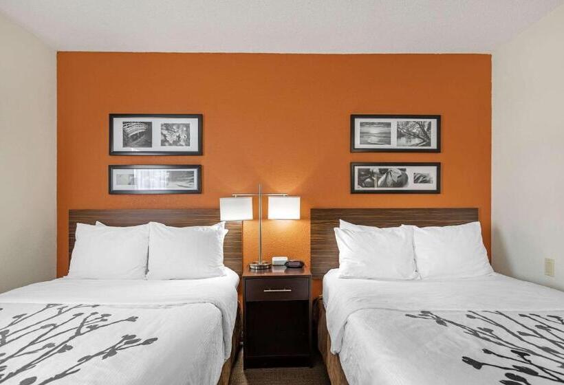 带2个双人床的标准工作室, Sleep Inn Dewitt   Lansing North