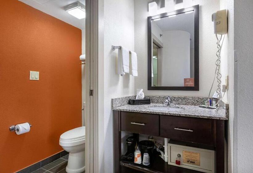 带大床的标准间, Sleep Inn Dewitt   Lansing North