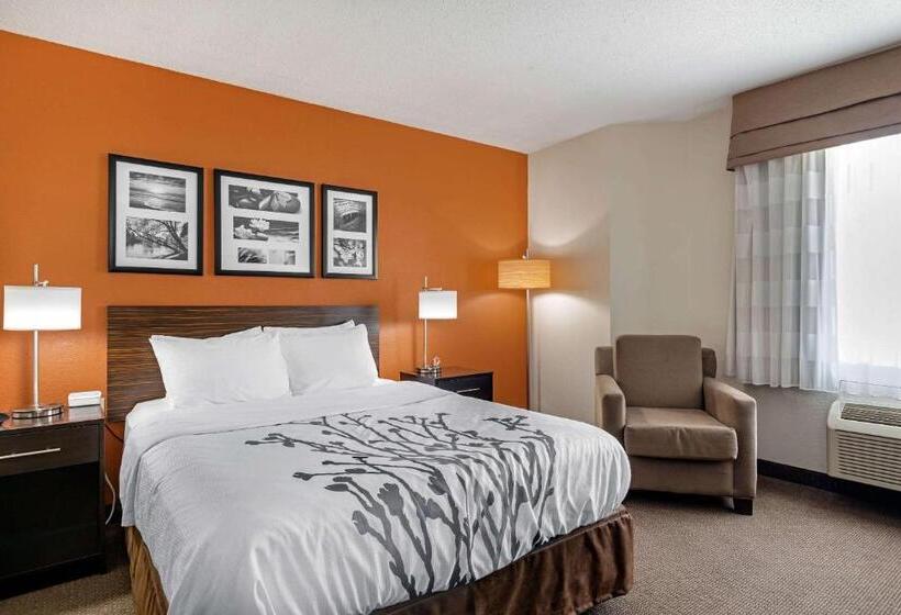 标准间, Sleep Inn Dewitt   Lansing North