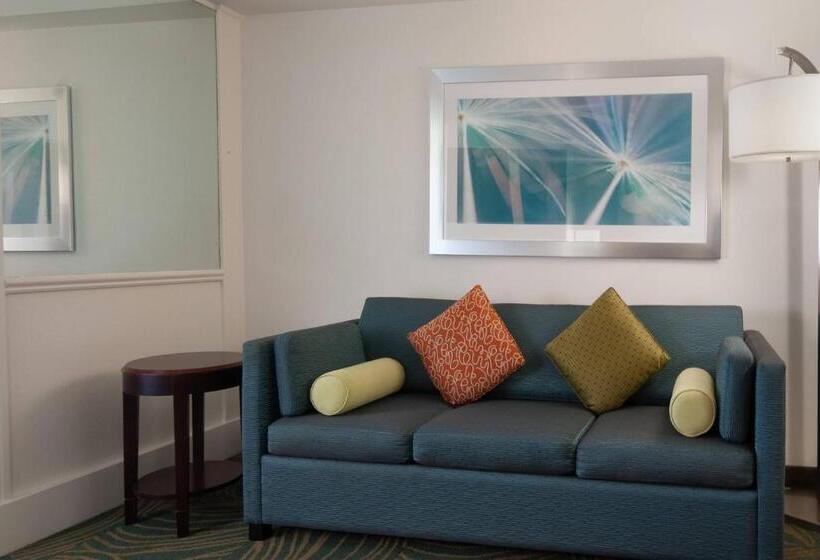 Люкс Кровать Кинг, Springhill Suites Fort Lauderdale Airport