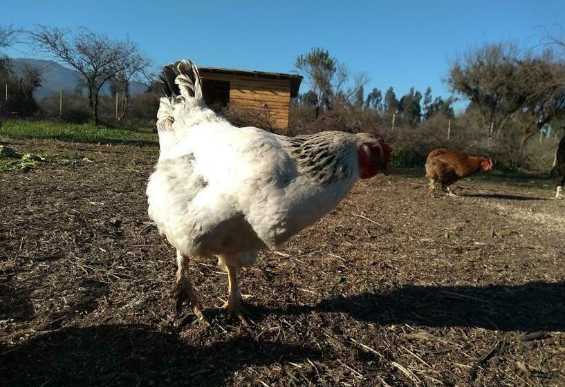 침실 2개 주택, Eco Parcela La Chacra