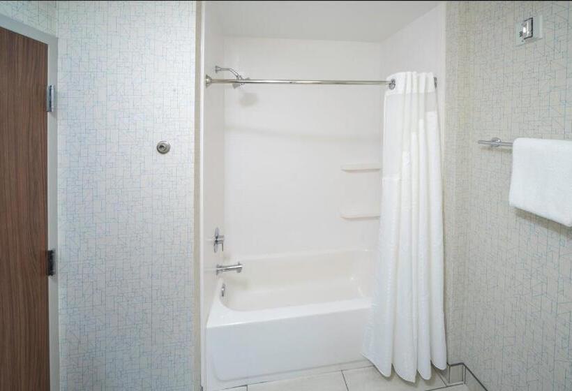 Номер Стандарт, Holiday Inn Express   Brevard, An Ihg