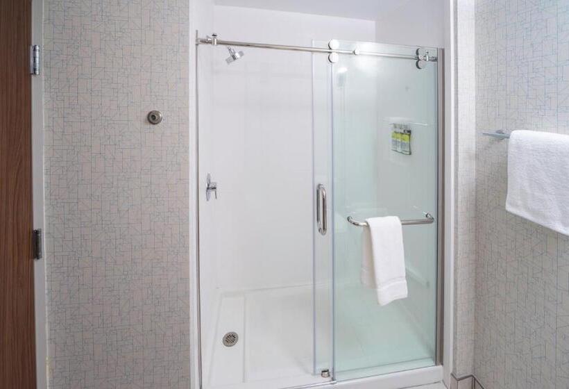 Номер Стандарт Кровать Кинг Адаптированный для Инвалидов, Holiday Inn Express   Brevard, An Ihg