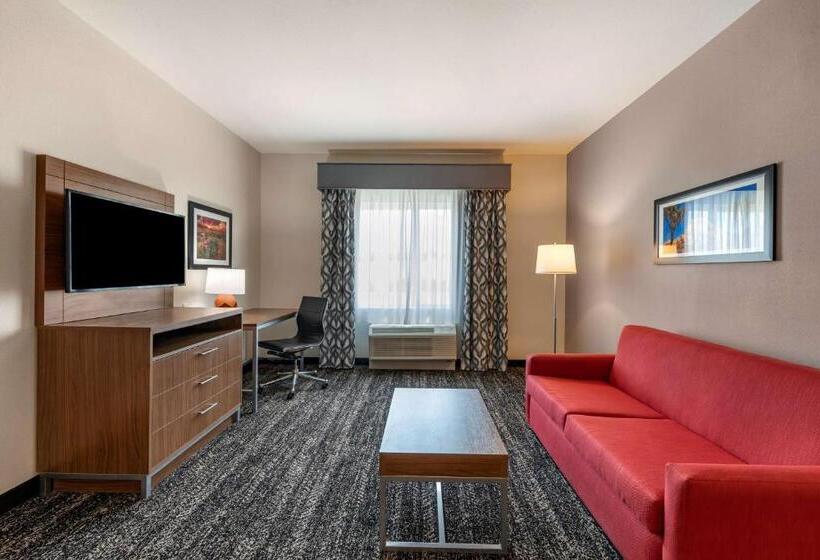 장애인을 위한 킹사이즈 침대 스탠다드 룸, Best Western Plus Desert View Inn & Suites