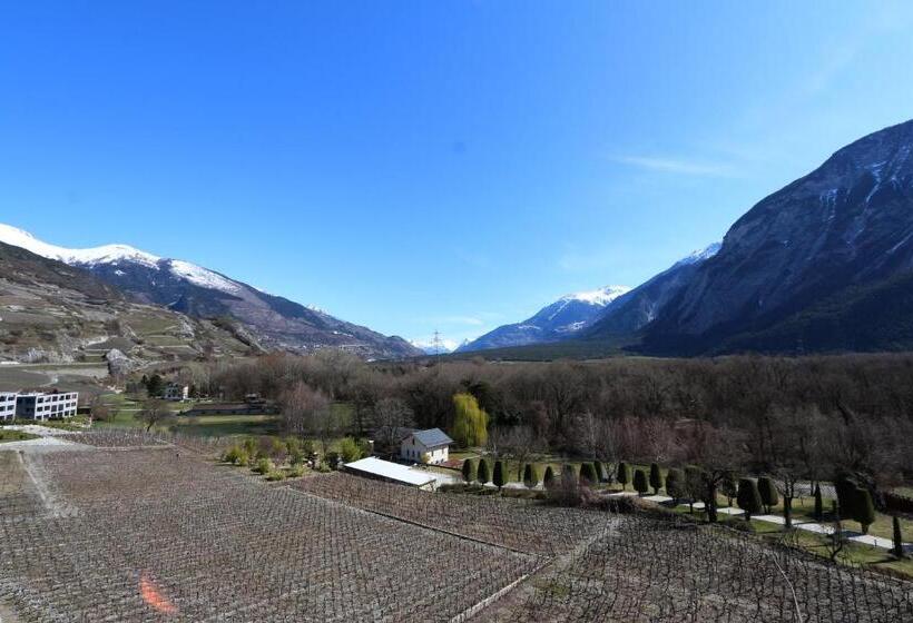 1 Bedroom Penthouse Apartment, Bnb Vino Veritas