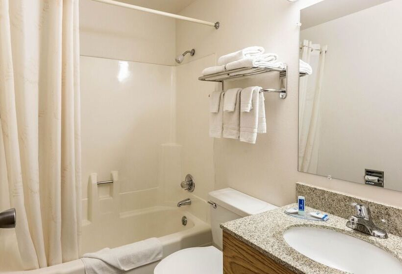 Номер Стандарт 2 Двуспальные Кровати, Rodeway Inn