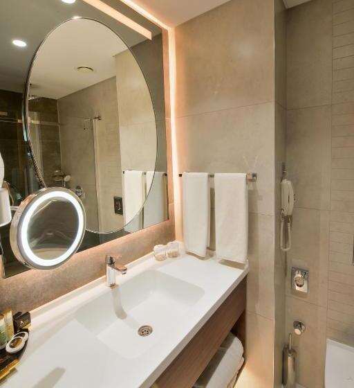 اتاق لوکس, Ankara Alegria Business