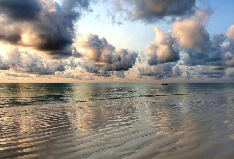 이코노미 룸, Your Zanzibar Place