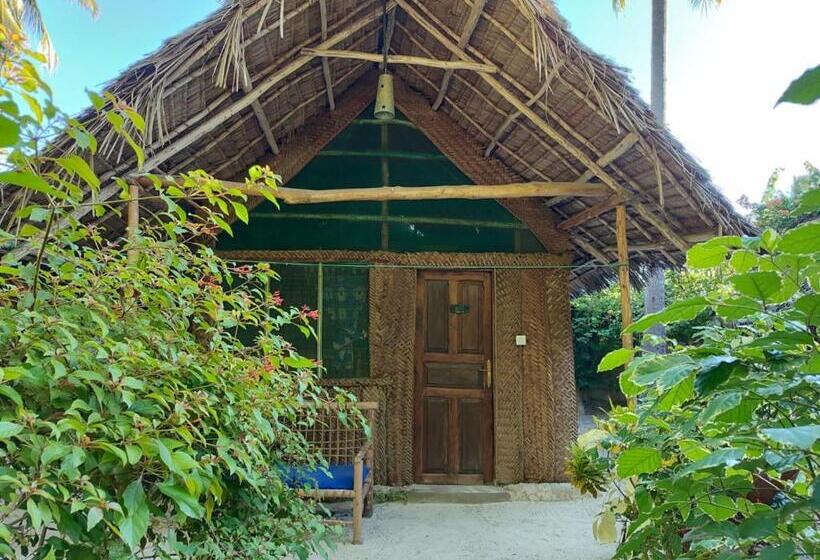 이코노미 룸, Your Zanzibar Place
