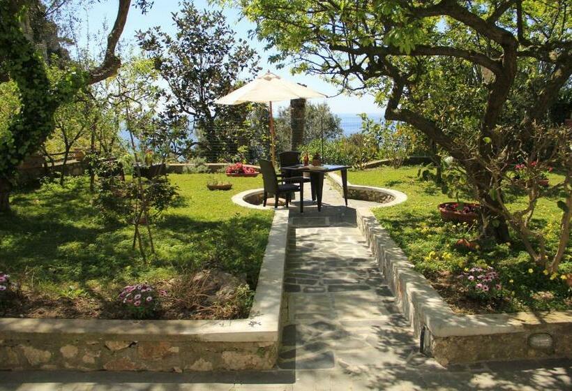 اتاق استاندارد با تراس و چشم‌انداز دریا, Casa Augusto B&b