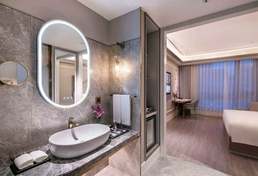 豪华房间, Mercure Shanghai Xujiahui South
