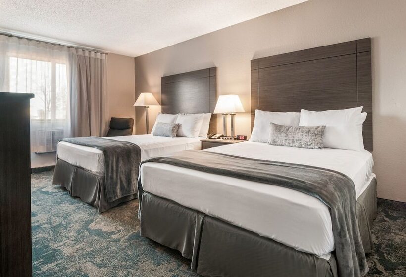 标准间, American Inn & Suites Metro Airport