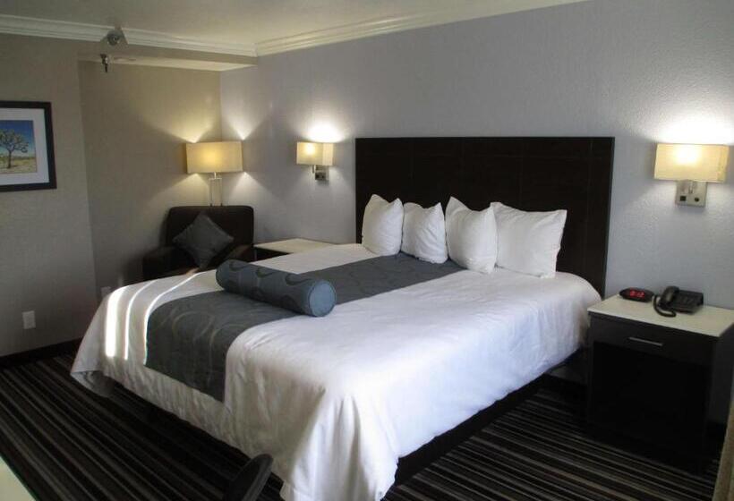 Стандартный Номер Кровать Кинг, Best Western Plus Diamond Valley Inn