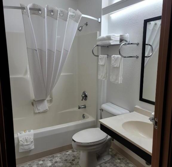 Студия Deluxe, Super 8 By Wyndham Ionia Mi