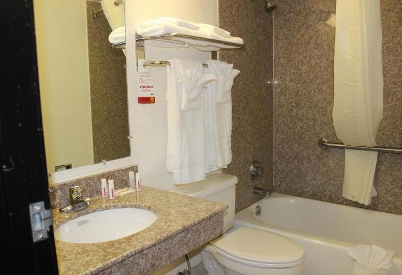 Номер Deluxe, Super 8 By Wyndham Tuscaloosa