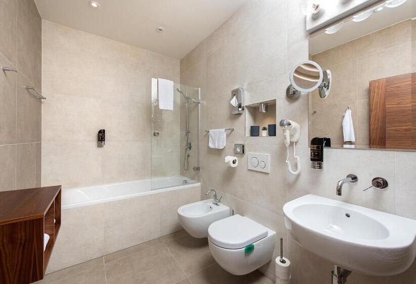 Студия Стандарт, Residence Hluboká