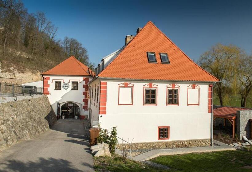Студия Стандарт, Residence Hluboká
