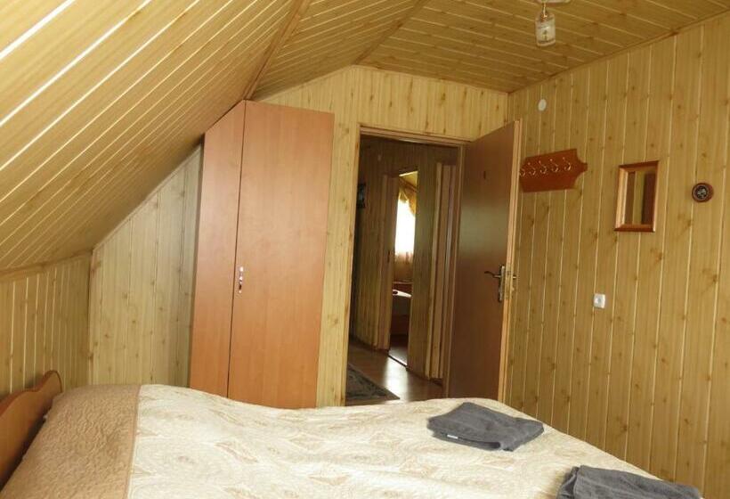 バス共有のスタンダードルーム, Bilyy Kamin Guest House