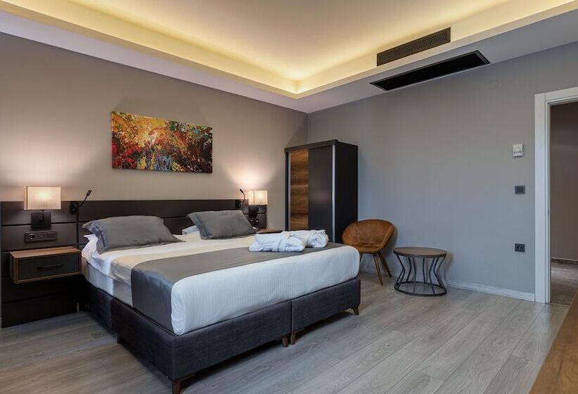 标准间, The Plaza Hotel Edirne