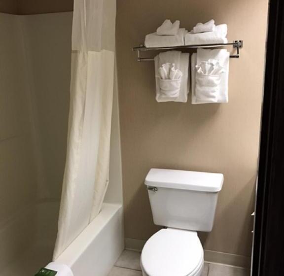 Номер Deluxe с Балконом, The Country Inn Of Lancaster