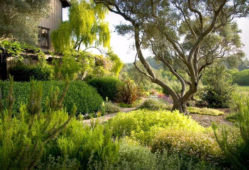 스탠다드 룸 킹사이즈 침대, Wine Country Inn & Cottages Napa Valley