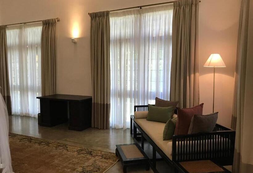 Люкс Премиум, The Postcard Galle