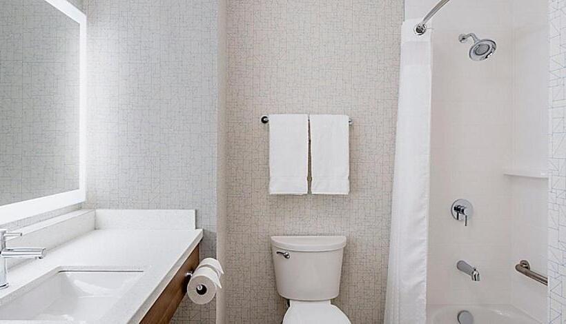 Номер Стандарт, Holiday Inn Express & Suites   Brandon, An Ihg
