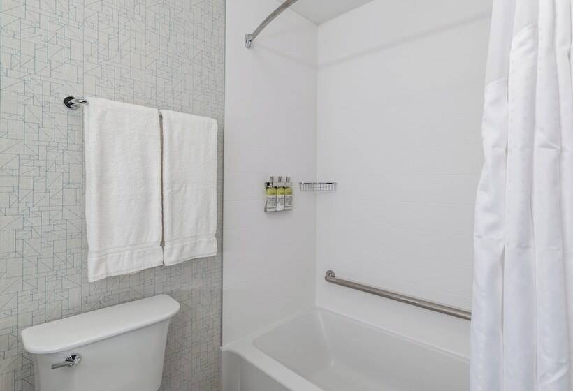 Номер Стандарт 2 Двуспальные Кровати, Holiday Inn Express & Suites   Brandon, An Ihg