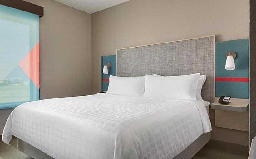 标准间, Avid Hotel Nashville South   Smyrna, An Ihg