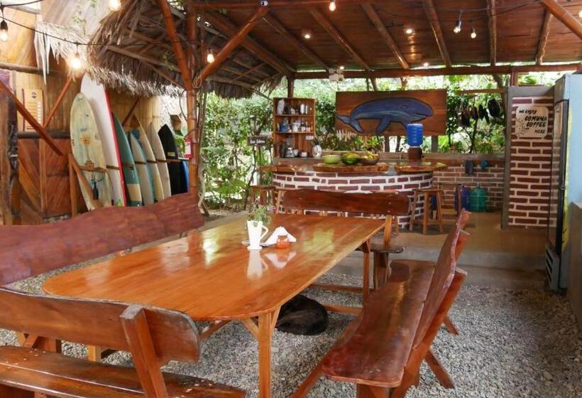 استودیوی لوکس, Vistamar Guest House