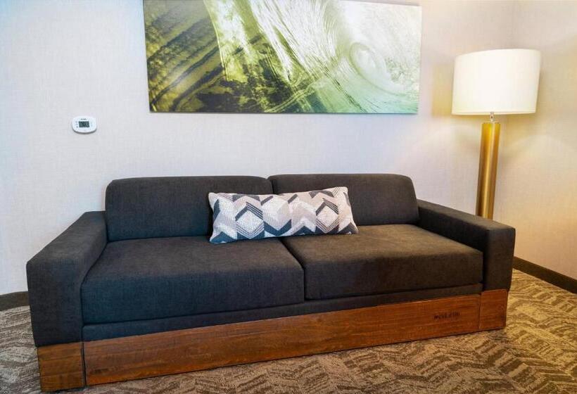 Люкс Кровать Кинг, Springhill Suites Spokane Airport