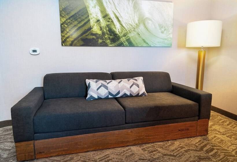 Люкс, Springhill Suites Spokane Airport