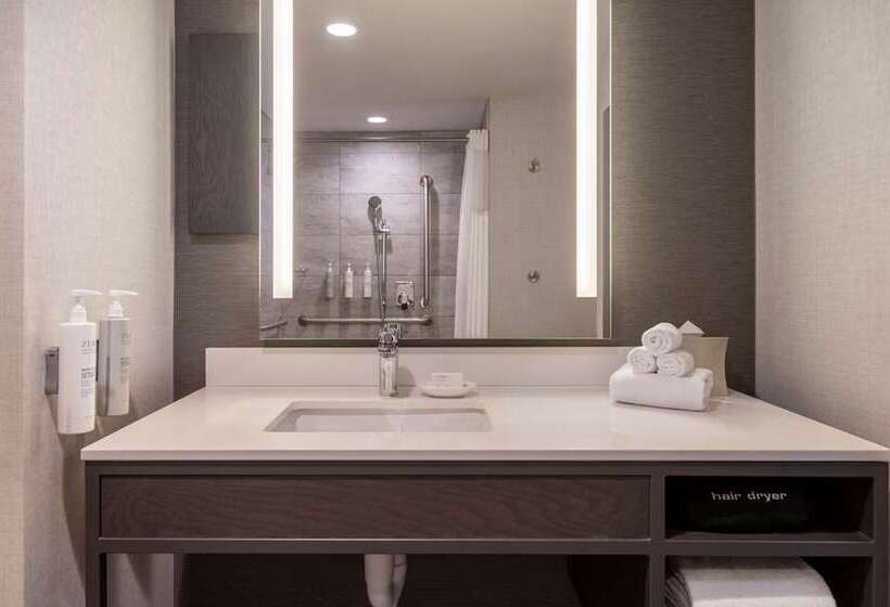 Номер Стандарт, Hilton Garden Inn Flint Downtown