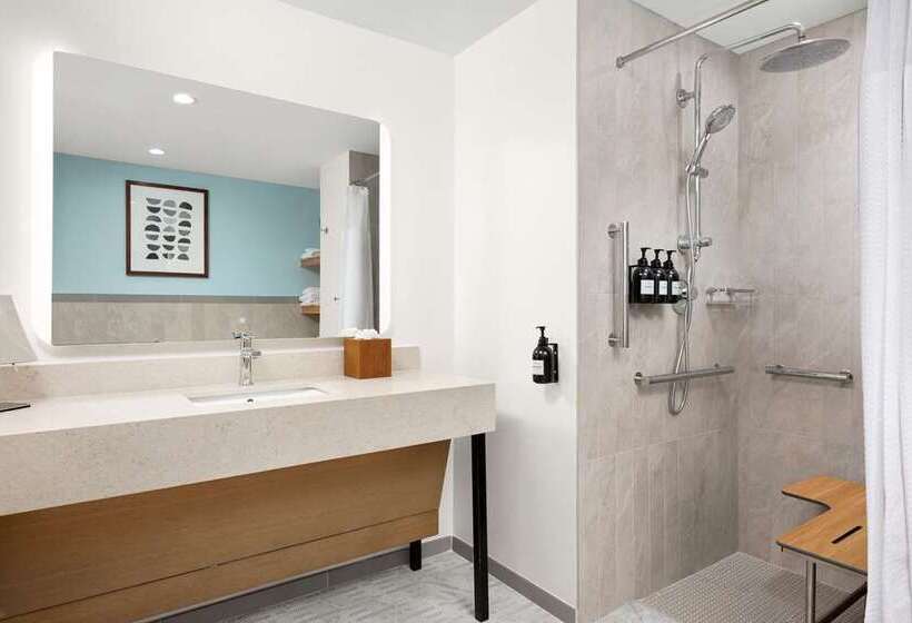 Номер Стандарт, Hilton Garden Inn Flint Downtown