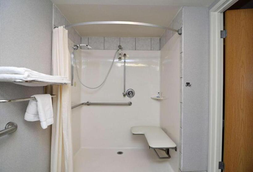 适合残疾人士使用的带超级大床的标准间, Best Western Borger Inn